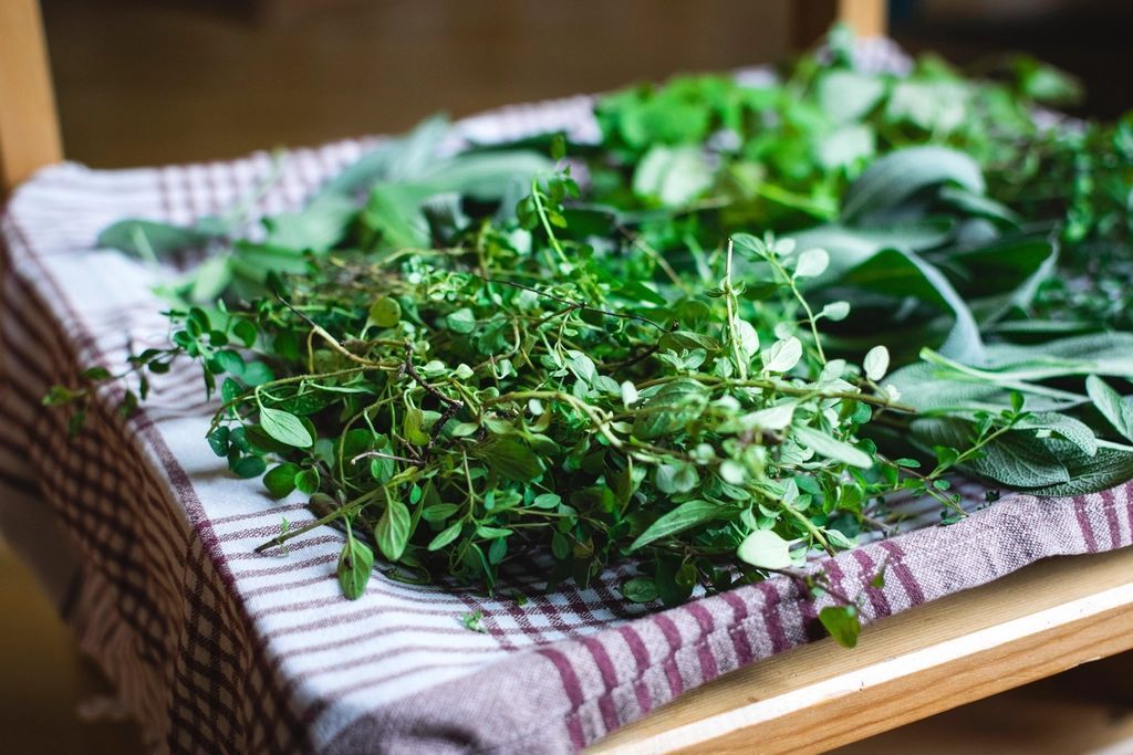 Erbe aromatiche fresche stese su un telo di lino