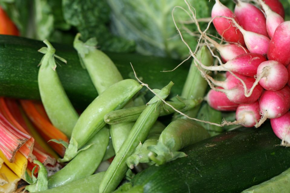 Piselli, ravanelli e zucchine freschi appena raccolti